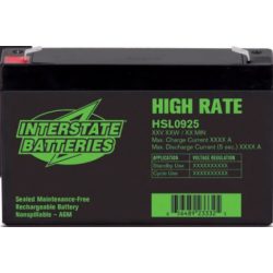 Interstate Battery, HSL0925, 6v 9Ah (34W) High Rate SLA Battery, T2