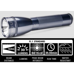 Maglite ML25IT Xenon 2C Flashlight, ML25IT-2096, Gray