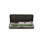 Maglite 2AA MiniMag Pro LED Gift Box, SP2P397, Green