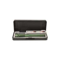 Maglite 2AA MiniMag Pro LED Gift Box, SP2P397, Green